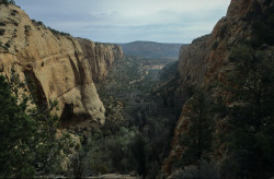 2007 04 20B 029 USA Arizona Web